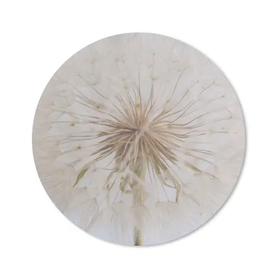 Produktbild von MuchoWow® Mauspad Mousepad Blumen - Löwenzahn - Entwurf 50x50 cm - Mousepads - Maus Mat - Pad - Mausunterlage - Vinyl