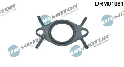 Produktbild von DR.MOTOR AUTOMOTIVE AGR-Ventil-Dichtung DRM01081 für OPEL ZAFIRA B (A05)