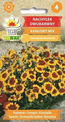 Zdjęcie produktu dla Nachyłek dwubarwny KARŁOWY MIX mieszanka Nasiona kwiatów 590 Toraf