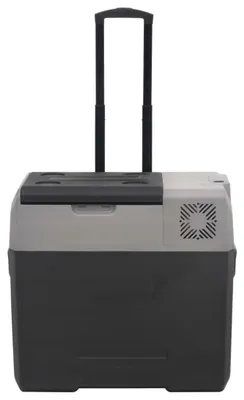 Produktbild von vidaXL Kühlbox mit Rollen und Griff Schwarz & Grau 50 L Polypropylen