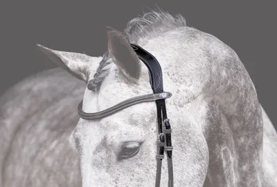 Image de Ps Of Sweden Snaffle W Relief Tête de cheval Noir Cob Noir Cob