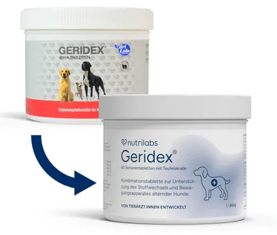 Produktbild von NutriLabs Geridex® Tabletten für Senioren-Hunde 60 STK. - Seniorentabletten für Hunde mit Glucosamin, Weißdorn u.v.m. - Hunde-Nahrungsergänzung - Teufelskralle-Tabletten - MSM-Hund