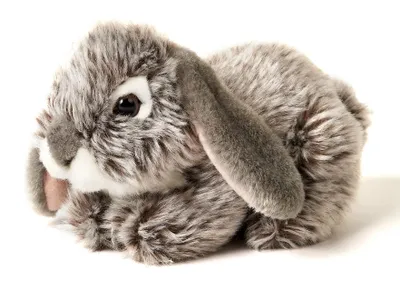 Produktbild von Uni-Toys - Widderkaninchen, liegend (grau) - 18 cm (Länge) - Plüsch-Hase, Kaninchen - Plüschtier, Kuscheltier