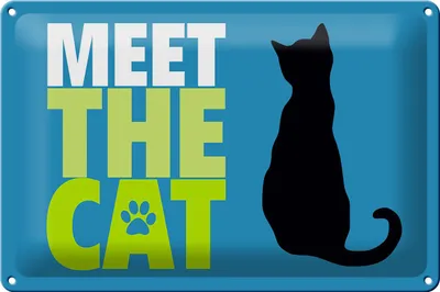 Produktbild von Blechschild Spruch 30x20cm meet the cat Katze