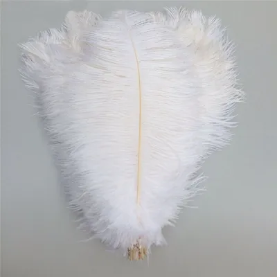 Obrázek produktu pro Pštrosí peří 20-25 cm, barva přírodní bílá / 1ks