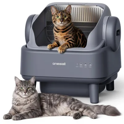 Katzenklo CB01, Kunststoff, grau, 58x28x63,5 cm