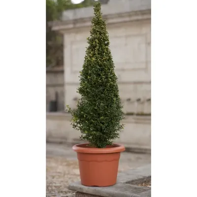 Produktbild von PLASTIKEN Blumentopf - Ø 40 cm rund - Terrakotta