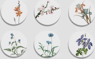 Image de INF Napperon de dessous de verre résistant à la chaleur, tampons absorbant l'eau 6 paquets fleur élégante