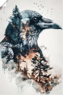 Produktbild von ARTland Poster Rabe Größe: 20x30 cm