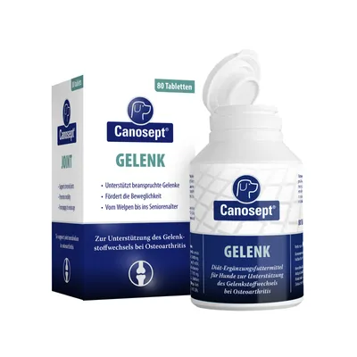 Produktbild von Gelenkpflege Canosept® Gelenk Tabletten 80 Stück unterstützen den Gelenkstoffwechsel bei Osteoarthritis