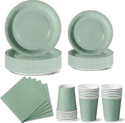 Image de Nkaiso Vert Herbe Vaisselle de fête 96 pièces Assiettes en carton Gobelets Serviettes Set de fête
