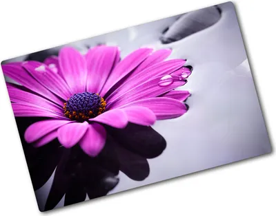 Produktbild von Tulup Glas Herdabdeckplatte - 80x52 cm - Glaskeramikkochfeld-Abdeckung Spritzschutz Glasabdeckplatte - Einteilig - Blumen & Pflanzen - Gerbera - Rosa