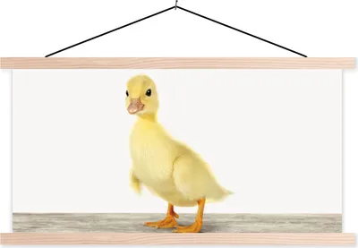Produktbild von MuchoWow® Textilposter Ente - Küken - Tiere - Süß - Mädchen - Jungen - Kinder 60x30 cm mit holzfarbenen Rahmen - Dekoration