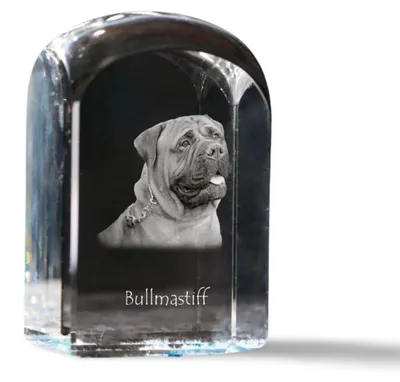 Produktbild von Art-Dog Briefbeschwerer Bullmastiff