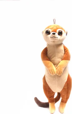 Produktbild von Nature Planet - Kuscheltier - Funkyland L -  Erdmännchen