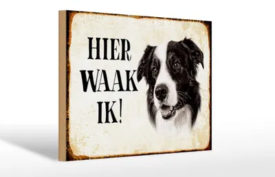 Produktbild von Holzschild Spruch 30x20cm holländisch Hier Waak ik Border Collie