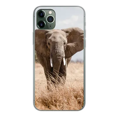 Produktbild von MuchoWow® Handyhülle Schutzhülle Hülle für iPhone 11 Pro Max Elefant - Natur - Tiere - Porträt Silikon Softcase Handy Hülle - Schutz