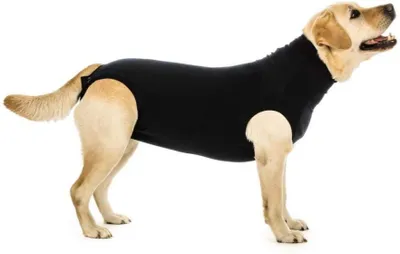 Produktbild von Recovery Suit "XL" Schwarz Hund