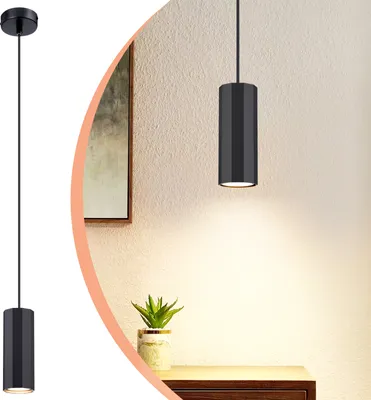 A black pendant light hangs in a room with a textured wall and a framed picture. A small potted plant sits on a wooden surface below.