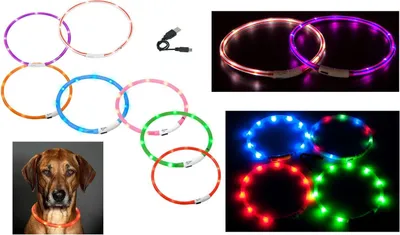 A collage of LED pet collars and a dog wearing one.