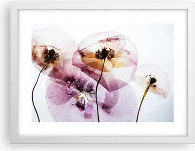 Produktbild von Gerahmtes Poster - Weißer Rahmen - blume sommer natur - 40x30 cm - Wand Bild - Wanddeko - Wandbilder - Kunstposter - Wandposter - Bilderrahmen - Bilder - Kunstdruck - Wandbild - P2WAA40x30-3821