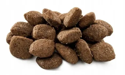 A pile of brown kibble pieces.