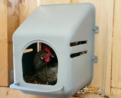 Produktbild von Hühnernest Legenest Kunststoff Abrollnest Eierbox Geflügel Hühner Wand Nest