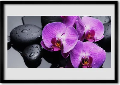 Produktbild von Bild 70x50 MDF-Rahmen Wandkunst Blume auf Wand