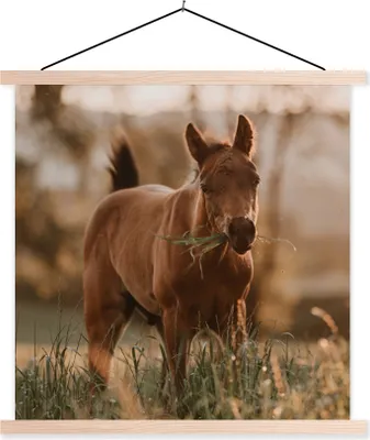 Produktbild von MuchoWow® Textilposter Pferd - Sonne - Gras 60x60 cm mit holzfarbenen Rahmen - Wanddekoration