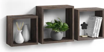 Three dark brown floating cube shelves are mounted on a white wall. The left shelf contains two white vases, one with reeds. The middle shelf holds a green plant in a gray pot. The right shelf displays a black flower decoration and three books.