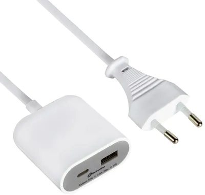 Obrázek produktu pro ADAPTÉR „GUMMY LINE“ 1 USB + 1 USB typu C