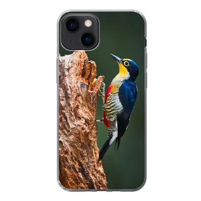 Produktbild von MuchoWow® Handyhülle Schutzhülle Hülle für iPhone 13 Nahaufnahme eines bunten Vogels auf der Seite eines Baumstamms Silikon Softcase Handy Hülle - Karteninhaber