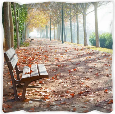 Produktbild von Wallario Premium Kissen, weiche Oberfläche, mit Motiv Einsame Parkbank an einer Allee - Herbststimmung, Größe: 40 x 40 cm, mit weißer Rückseite