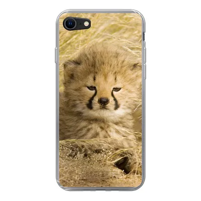 Produktbild von MuchoWow® Handyhülle Schutzhülle Hülle für iPhone SE 2020 Gepard - Jung - Gras Silikon Softcase Handy Hülle - Kartenbesitzer