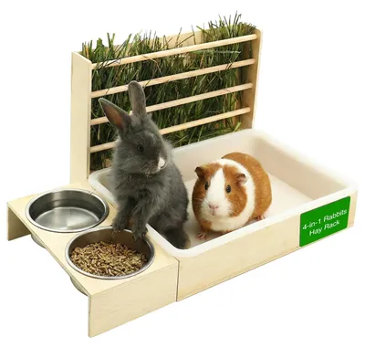 Image de Boîte à foin 4 en 1 pour lapins, avec distributeur de nourriture et d'eau