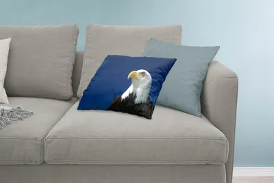 Produktbild von MuchoWow® Zierkissen Sofakissen Wohnzimmer Dekokissen 60x40 cm Ein Weißkopfseeadler schaut in einen blauen Himmel - Kopfkissen - Polster mit Foto