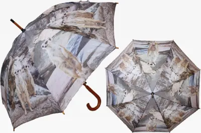 Produktbild von 1 Regenschirm Erdmännchen Automatikschirm Stockschirm Schirm Schirme Tiere