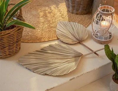 Image de 2x feuille décorative "palmier" produit naturel, feuille de palmier, 50 - 70 cm de taille