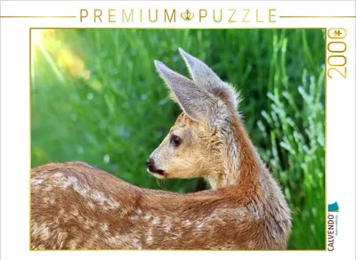 Produktbild von CALVENDO Puzzle Ein Motiv aus dem Kalender Rehkitze, zierliche Schönheiten mit großen, sanften Augen 2000 Teile Puzzle quer | 2000 Teile Lege-Größe 90x67cm Foto-Puzzle für glückliche Stunden