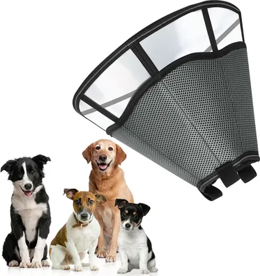 Produktbild von Hundehalsband, Hundeschutzhalsband, Größe XL, geeignet zum postoperativen Schutz von Hunden