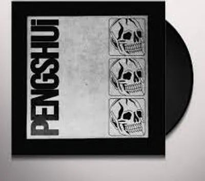 Produktbild von Pengshui - Pengshui Clear Vinyl