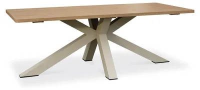Image de Table de jardin 8 places