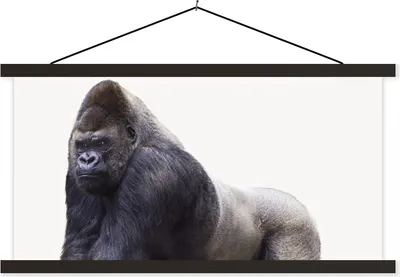Produktbild von MuchoWow® Textilposter Gorilla - Tiere - Jungen - Mädchen - Kinder 90x45 cm mit schwarzem Rahmen - Klemmleisten