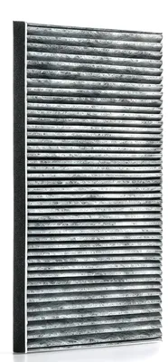Aktivkohlefilter für Dunstabzugshaube, 46,3x2,3x20,5 cm, 1 St.