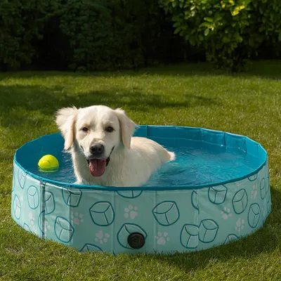 Image de Piscine Pour Chien 120cm