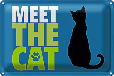 Produktbild von Blechschild Katzenliebhaber 30x20cm meet the cat Katze