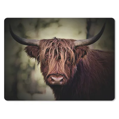 Produktbild von MuchoWow® Mauspad Mousepad Schottischer Hochländer - Licht - Porträt - Natur 40x30 cm - Mousepads - Maus Mat - Pad - Mausunterlage - Anti Rutsch
