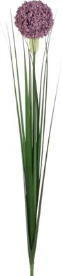 Produktbild von Mica künstliche Allium lila, 80 cm
