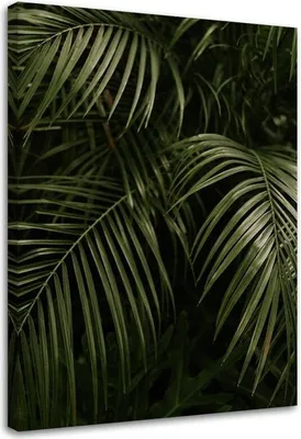 Produktbild von Leinwandbild grüne palmenblätter 70x100 cm Feeby grün wandbild bereit zum aufhängen