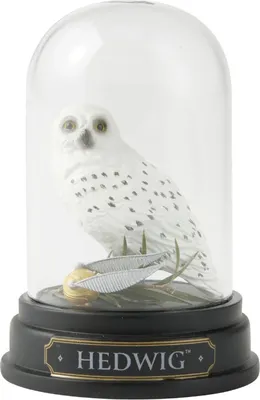 Produktbild von Harry Potter Resin-Statue Hedwig Curiosity Cloche